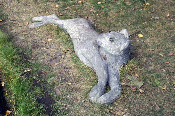 Betongkatt